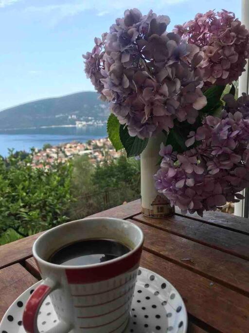 Magnificent Views Apartment Χέρτσεγκ Νόβι Εξωτερικό φωτογραφία